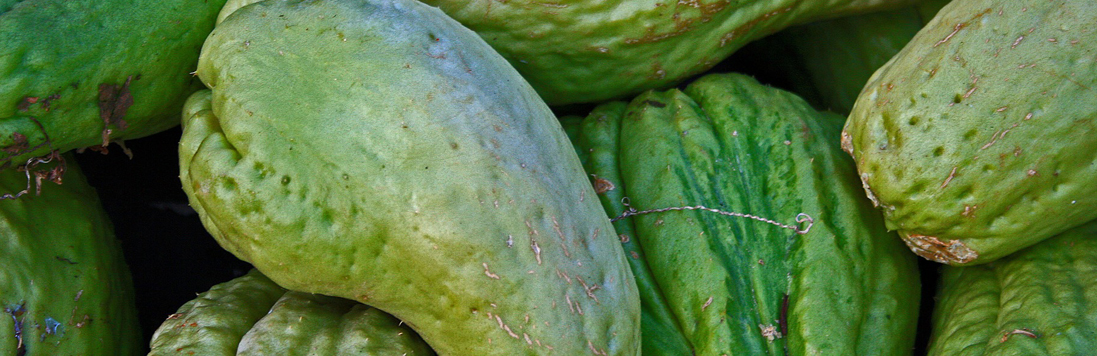 Chayote