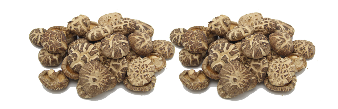 Shiitake